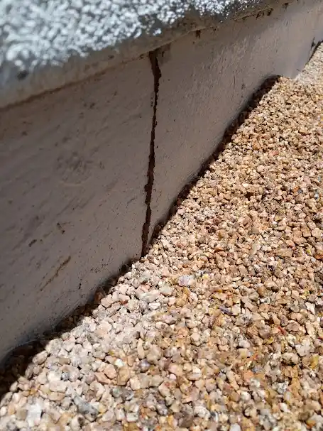 Pest Control in Tolleson