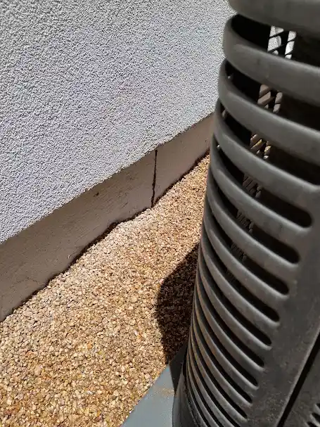 Pest Control in Litchfield Park